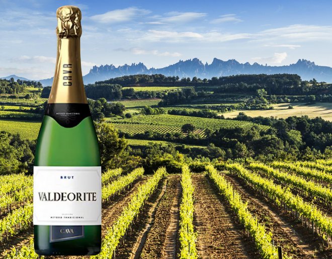 Cava Valdeorite Brut met wijngaard